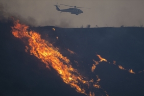 1738142668679california.jpg