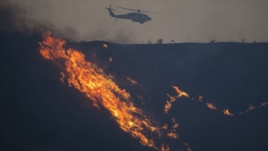 1738142668679california.jpg