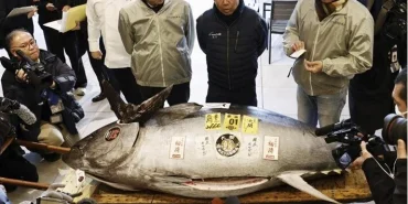 2fvzmsR5wkCnFbBVOPusgQ