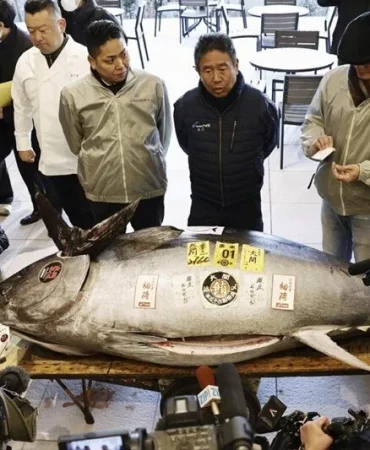 2fvzmsR5wkCnFbBVOPusgQ