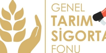 Screenshot_20250108_161721_Messenger