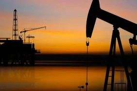 brent-petrol-7.webp.webp