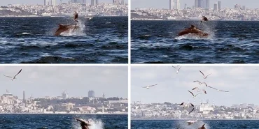 ebsvvA0Wf0uywrZ2NUxCmw