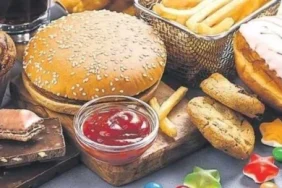 v2lenmigda_1735915798