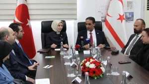v2sadkolugkta_1736944255.jpg.webp.webp.webp