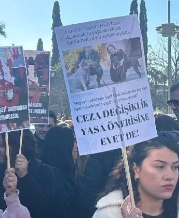 v2yeniproje39_1737359567.jpg.webp.webp.webp
