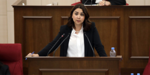 aysegul-baybars-sonistihbarat.jpg