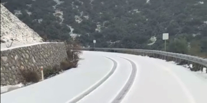 n3.jpg