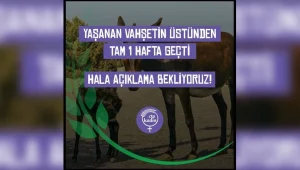 v2ctpkadnrgteeklerkonusu_1740402410.jpg.webp.webp.webp
