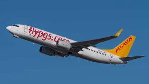 v2pegasus_1692786477.jpg.webp.webp