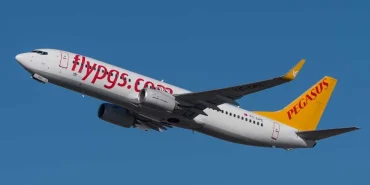 v2pegasus_1692786477.jpg.webp.webp