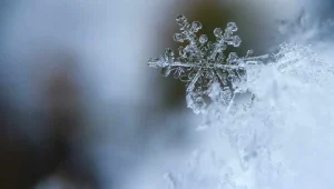 v2yeniproje-2025-02-17t150700499_1739797643.jpg.webp.webp.webp