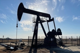 PETROL-2.jpg