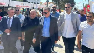 v2steltepeba_1742052367.jpg.webp.webp.webp