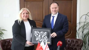 v2yeniproje70_1742219628.jpg.webp.webp.webp