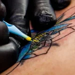 x-manset-dıvme-kktc