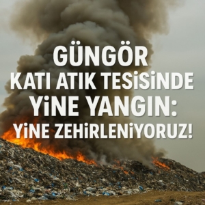 G26.jpg