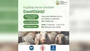 v2yeniproje-2025-04-18t125526708_1744970152.jpg.webp.webp.webp