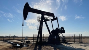 PETROL-2.jpg