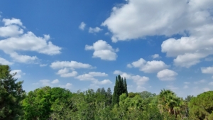 S42.jpg