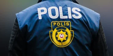 polis-mel.jpg.webp.webp.webp