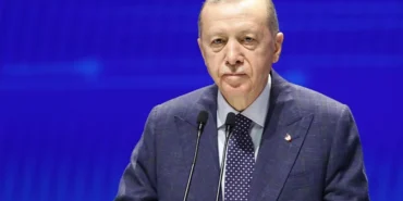 v2erdosss_1696789335.jpg.webp.webp