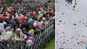 v2yeniproje_1748243144.webp.webp