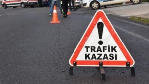 22.13.jpg