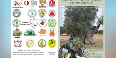 v2yeniproje26_1748869684.webp.webp.webp