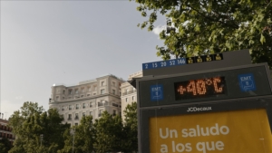 62.45.jpg