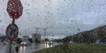 IMG_7639.webp.webp