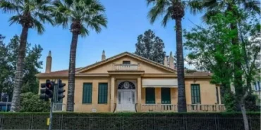 IMG_1502.webp.webp