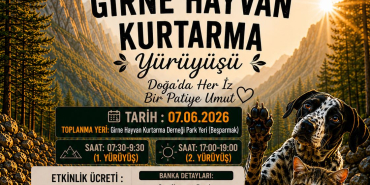 1780387011537muflons-yuruyus-2.jpg