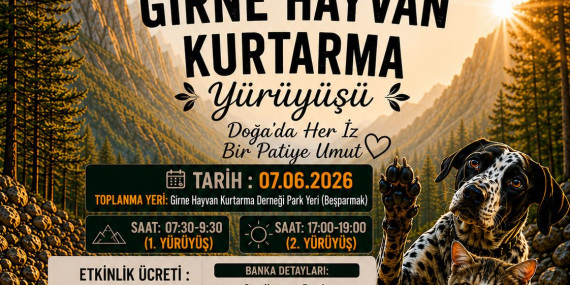 1780387011537muflons-yuruyus-2.jpg