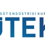 1780394586633sutek.jpg