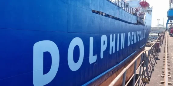dolphin-denizcilik-deniz-tasimaciliginda-yeni-bir-donem-1718876209