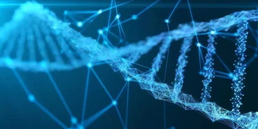 v2dna_1695184394.webp.webp