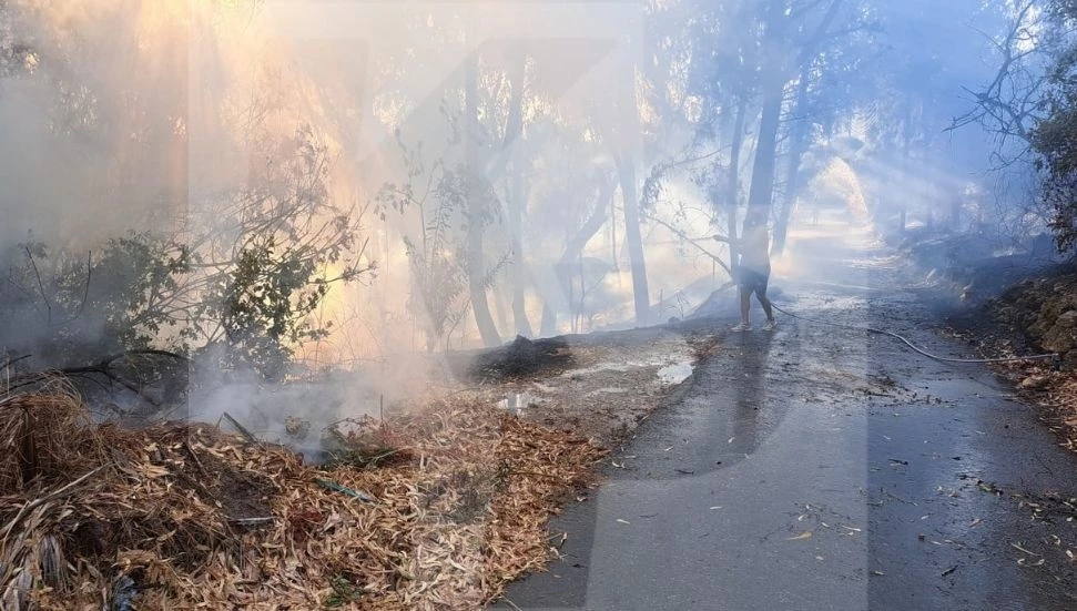 featured